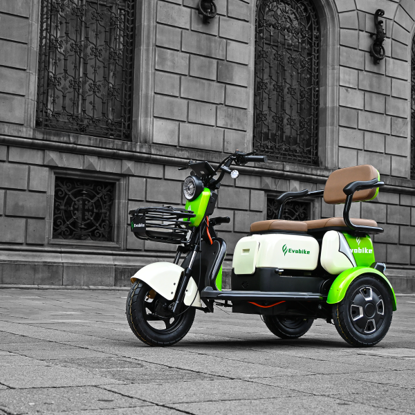 Triciclo Eléctrico FAMILY